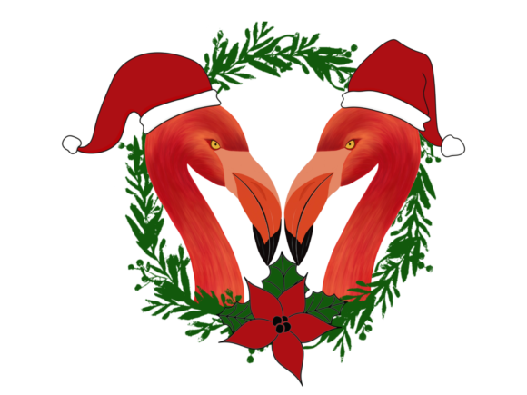 Two Christmas Flamingos Illustration Review